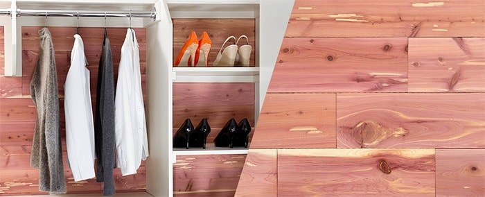 5" cedar accent wall