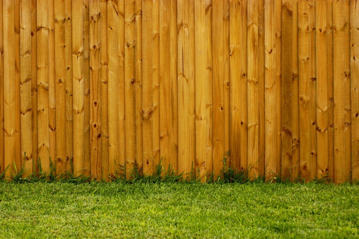 Medium-brown wood fence with knots in the wood and the pickets tight against each other and green grass growing in front of it