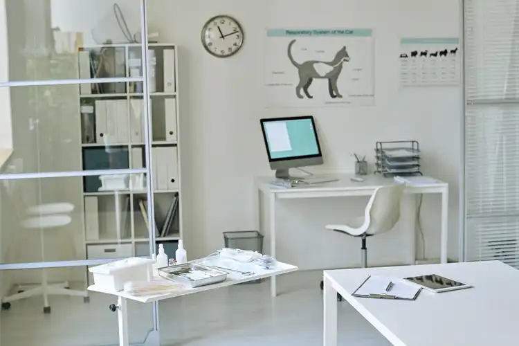 Veterinary office handyman in Shallotte, NC Veterinary office handyman in Shallotte, NC