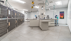 Handyman Services for Veterinary Clinics