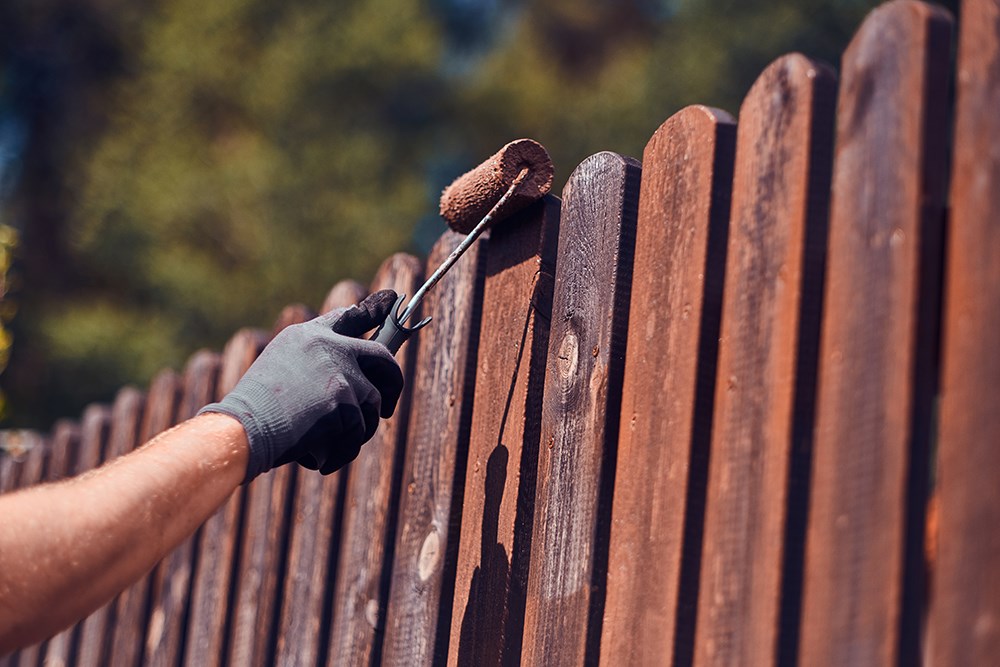 Handyman Staining Fence