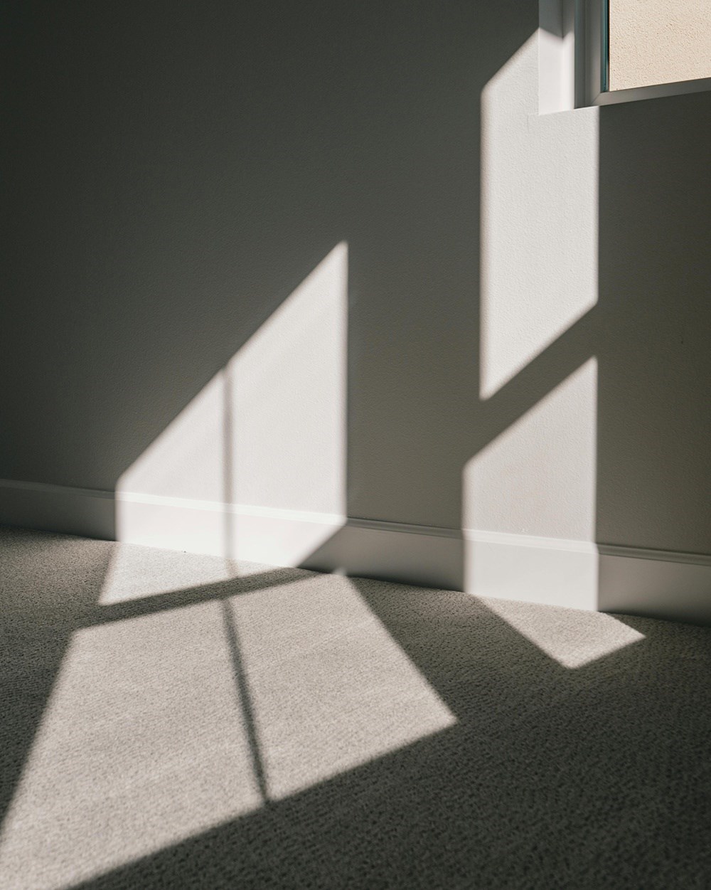 Carpet Installation by Ace Handyman Services