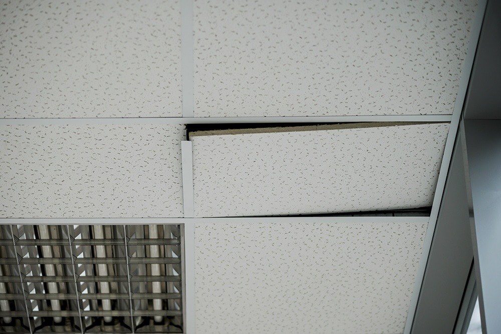 image of a ceiling tile that needs repair