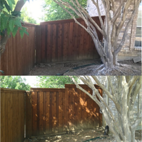 Before and After Fence Remodel