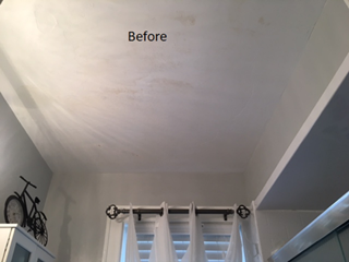 Before Photo of Damaged Ceiling in Mt. Lebanon, PA #5