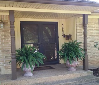 Exterior carpentry- front porch posts are rotten and need repair