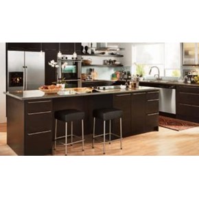 Kitchen Remodel in Chicago