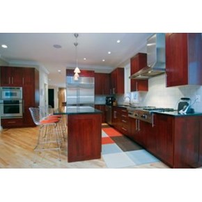 Carpentry and Painting in Chicago