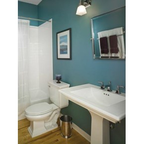 Bathroom Update in Chicago