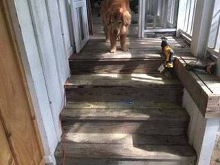 Before- customer requested that we build a removable dog ramp