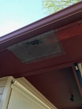 Soffit Repair and Exterior Trim Painting (Before)