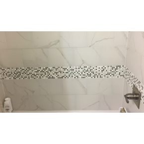 Bathroom Safety Grab Bar Before in Jacksonville