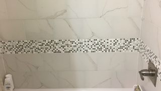 Bathroom Safety Grab Bar Before in Jacksonville
