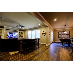 Basement Remodel - Hoschton GA