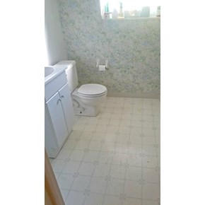Screaming for upgrade in Lakewood CO 80226