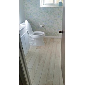 New flooring, and Toilet Upgrade in Lakewood CO 80226