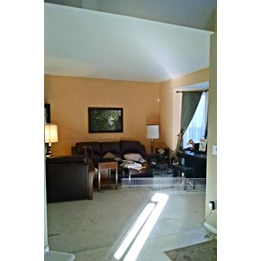 Open area to be separated by New French Doors and framed opening. in Elizabeth CO 80127