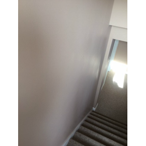 Drywall Repair and Paint