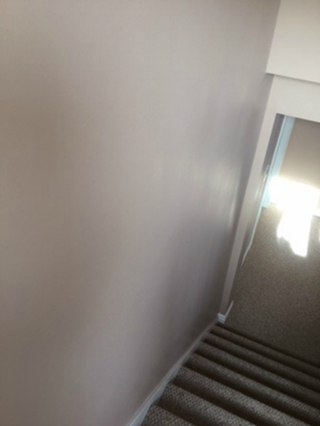 Drywall Repair and Paint