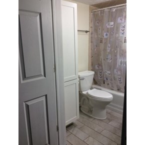 Ace Handyman Services Wilkes-Barre and Scranton Bathroom Update in Duryea, PA