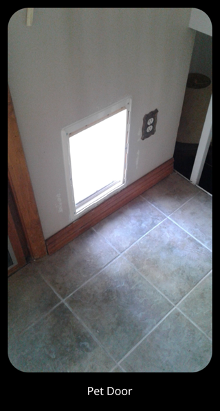 Pet Door Installation in Thornton, CO