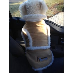 CC's ready to work for Handyman Matters in the cold weather