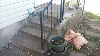 St. Louis Park side porch in need to repair/replacement