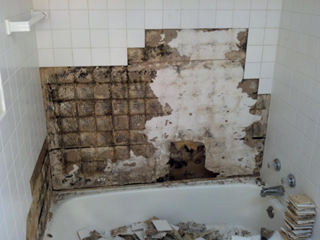 Edina - major grout failure