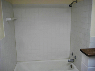 Edina   new tile backer board, tile and grout