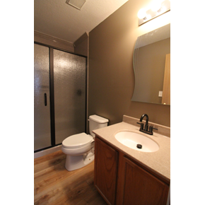 Ace Handyman Services Bathroom Remodel in Grove City using Onyx Collection Products