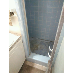 Shower Remodel, Bathroom Remodel, Fort Worth (Before)