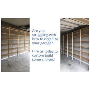 Organization 