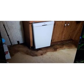Water Damaged Floor in Port Crane, NY