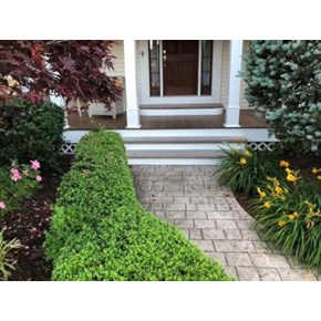 Ace Handyman Services Wilkes-Barre and Scranton Porch Repairs and New Steps Installed in Exeter, PA