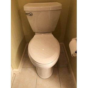 Replaced Toilet