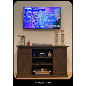 TV Mount - Denver