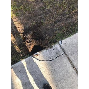 Sidewalk Repair