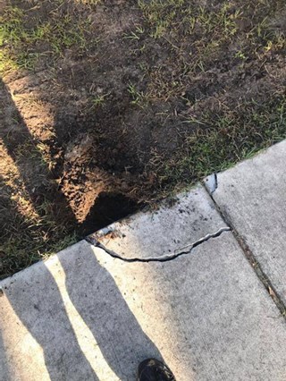 Sidewalk Repair