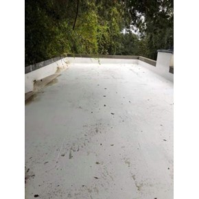 Roof Cleaning