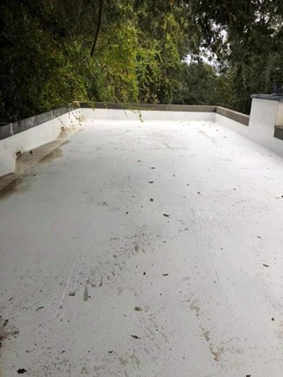 Roof Cleaning