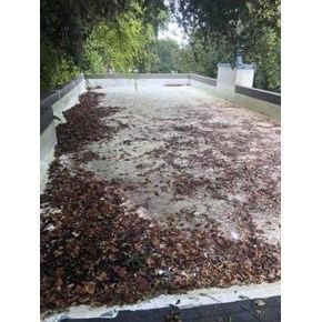 Roof Cleaning