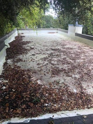 Roof Cleaning