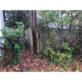 Fence Repair
