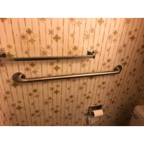 Installed Grab Bar 