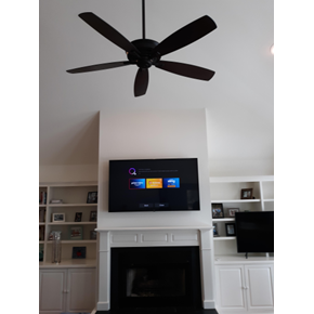 Yes, we mount tvs too!