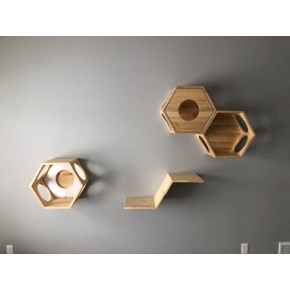 Wall Jungle Gym for Cats 