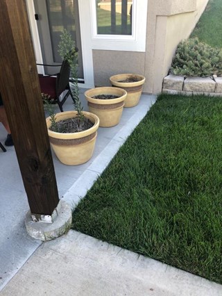  Privacy wall - before