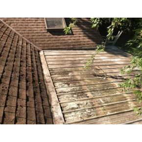 Debris removal - after