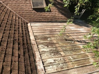 Debris removal - after