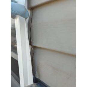 Exterior Window Repair-Before